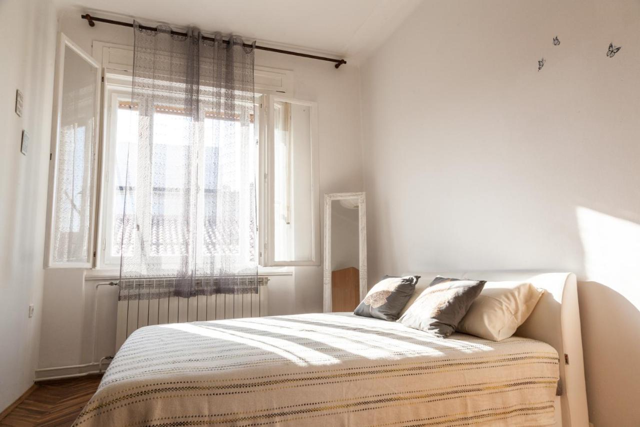 شقة Apartma Premrlova إيزولا المظهر الخارجي الصورة