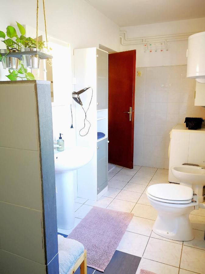 شقة Apartma Premrlova إيزولا المظهر الخارجي الصورة